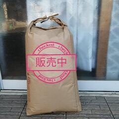 令和4年 茨城県常陸太田産 コシヒカリ  25.5kg (籾殻付き)