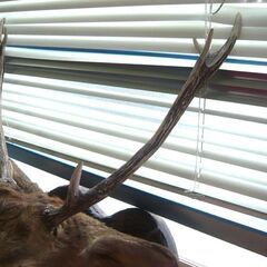 鹿 ハンティングトロフィ 剥製 彫刻 木製台 中古 コレクション 苫小牧西店