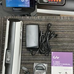 売約済！GIANT ESCAPE RX W-E+ サイズXXS　電動アシスト自転車 