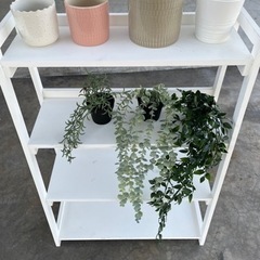【ネット決済】IKEA 観葉植物偽物セット