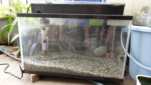 Gex マリーナ60cm水槽 Gex上部フィルター Gex底面フィルター 大磯砂付 そらぴょんぴょん 播磨町のその他の中古あげます 譲ります ジモティーで不用品の処分