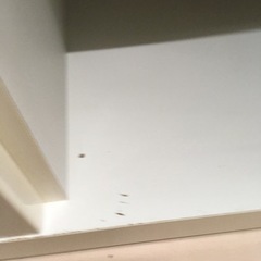 美原店　レンジボード　食器棚　高橋木工所