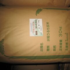 小さな農家　令和４年　新米コシヒカリ玄米　３０Kg  1袋７５００円