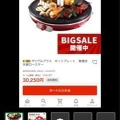 ザイグルプラス