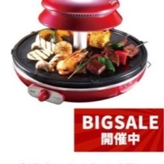 ザイグルプラス