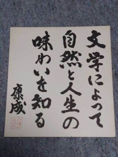 家康色紙　実篤色紙