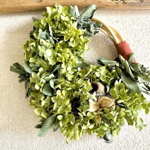 アナベル紫陽花　リース 生花】紫陽花アナベルと青い小花のリース/はなどんやキット - 花材通販