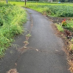 野球ネット各種。現地見学OK  息子が6年間、甲子園目指し練習したネットです。