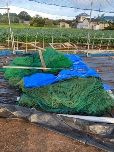 野球ネット各種。現地見学OK 高品質 息子が6年間、甲子園目指し練習した 