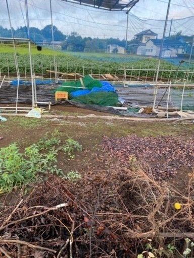 野球ネット各種。現地見学OK 高品質 息子が6年間、甲子園目指し練習した 