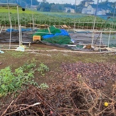 野球ネット各種。現地見学OK  息子が6年間、甲子園目指し練習したネットです。