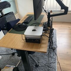 FLEXISPOT スタンディングデスク 電動式昇降デスク EJ2 (足(黒)＋天板（竹）