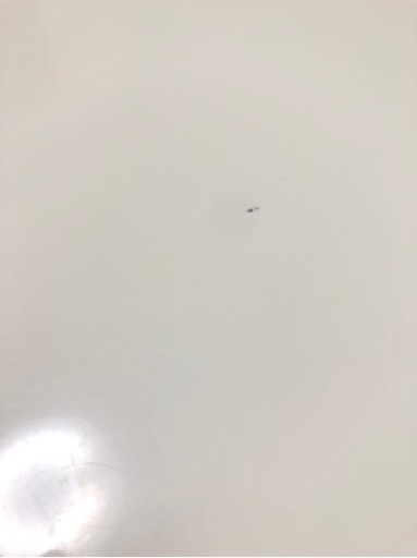 ミキモク　テーブル