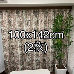 花柄カーテン 100 x 142 cm 2枚 フック付き