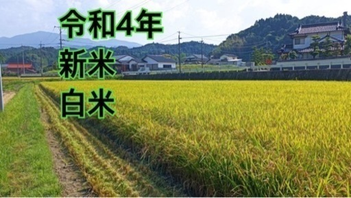 令和4年新米 夢つくし 白米27kg