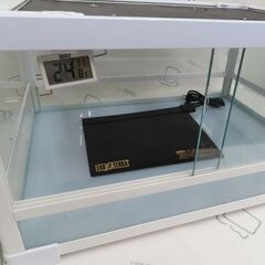 ♪三晃商会 REPTI WILD 爬虫類・小動物 飼育用ガラスケース + ヒーター♪