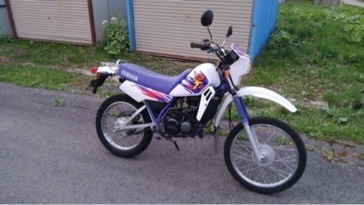 dt５０