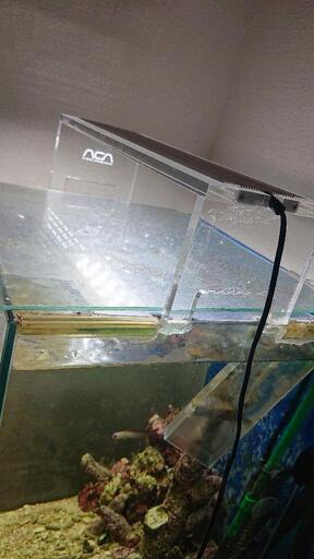 海水魚飼いたい初心者の方 かなりお値打ちセット 30×30×40