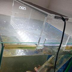 海水魚飼いたい初心者の方   かなりお値打ちセット 30×30×40 水槽セット 海水 淡水 ADAアクアスカイ エーハイム2213