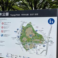 てくてく婚活ウォーキングin東京 代々木公園 明治神宮 婚活案内人がサポート 一人参加歓迎 30〜45歳の独身男女活ウォーキング - セミナー