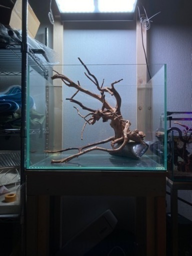 【水槽】ADA 60cm ワイド