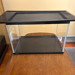 爬虫類水槽の中古が安い 激安で譲ります 無料であげます ジモティー