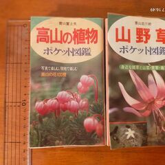 ポケット図鑑「山野草/高山の植物」