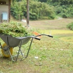 草刈りします( *´艸｀)の画像