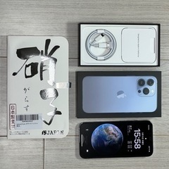 iPhone 13 Pro シエラブルー 256 GB SIMフ...