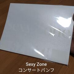 Sexy Zone コンサートパンフ SZ10TH