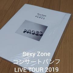 Sexy Zone コンサートパンフ LIVE TOUR 201...