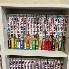 ワンピース本