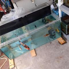 アクア製品多数あります