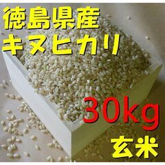 【譲渡済】新米　令和4年産　徳島産　キヌヒカリ　玄米　30kg（...