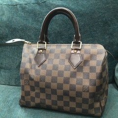 美品❤️LOUIS VUITTON❤️スピーディ25 ダミエ