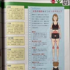 ボディメイクインストラクター講座資料