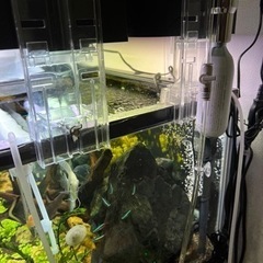 （値下げ）90cm水槽セット！ADAのCo2キット付き！生体込現状渡し