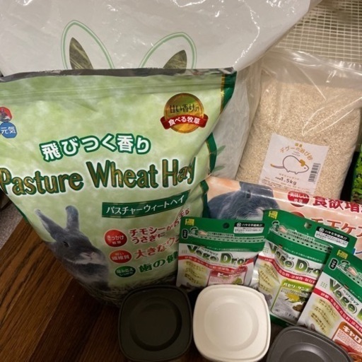 デグー飼育セット