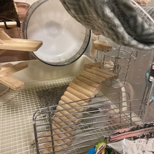 三晃商会 イージーホーム 40ハイ デグー飼育セットC : アクア