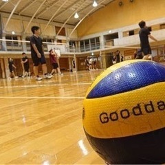 バレーポール🏐