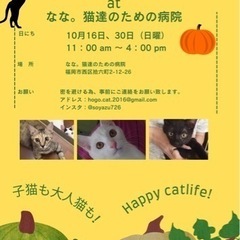 10/30（日曜）ねこ組🐾福岡中央譲渡会at なな。猫達のための病院