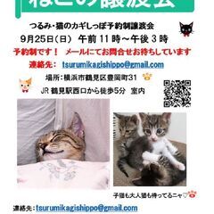 ９月２５日（日）つるみ・猫のカギしっぽ譲渡会