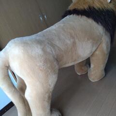 ライオンのぬいぐるみ（置物）