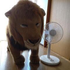 ライオンのぬいぐるみ（置物）