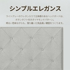 【美品】ダブルベット フレーム