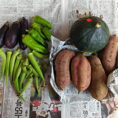 カボチャとサツマイモと野菜