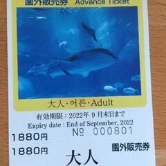 9月30日期限 美ら海水族館チケット