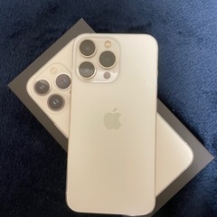 美品 iPhone 13 Pro シルバー 256 GB