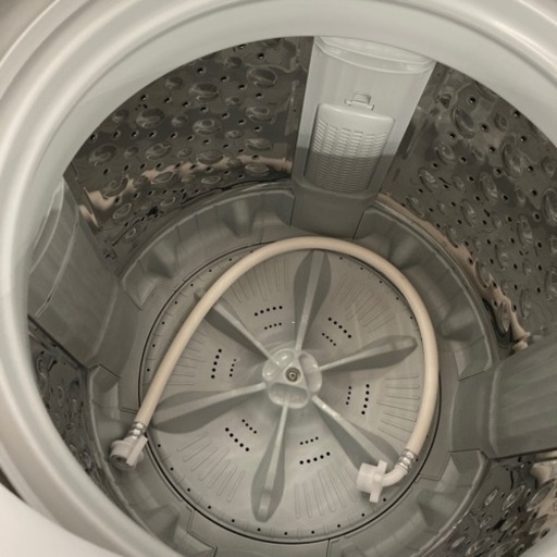 東芝10kg 洗濯機　2019年製