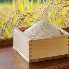 【受付終了】R４新米コシヒカリ(有機肥料多め栽培)玄米30kg×６袋